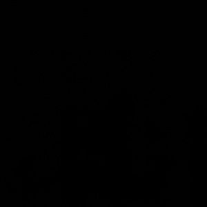 Meet your Posher, Anai